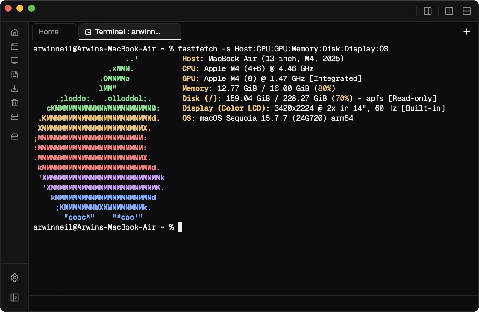 The Flies terminal running fastfetch in the current folder