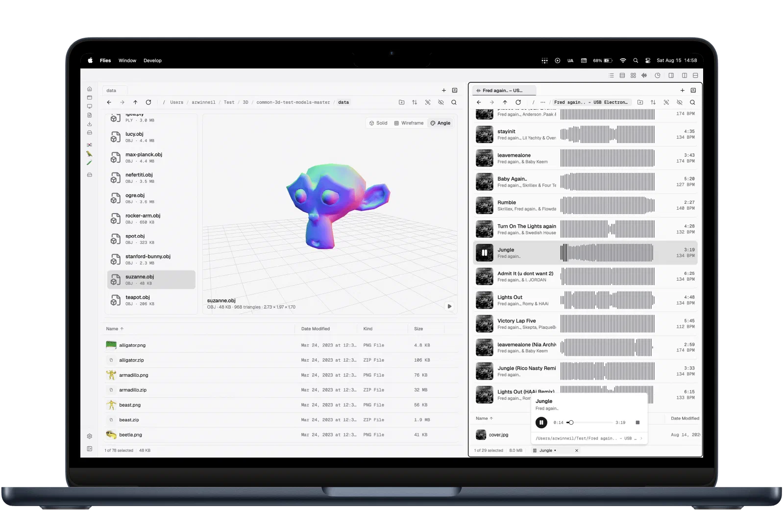 Flies running on a MacBook, showing the 3D model viewer and a music player panel