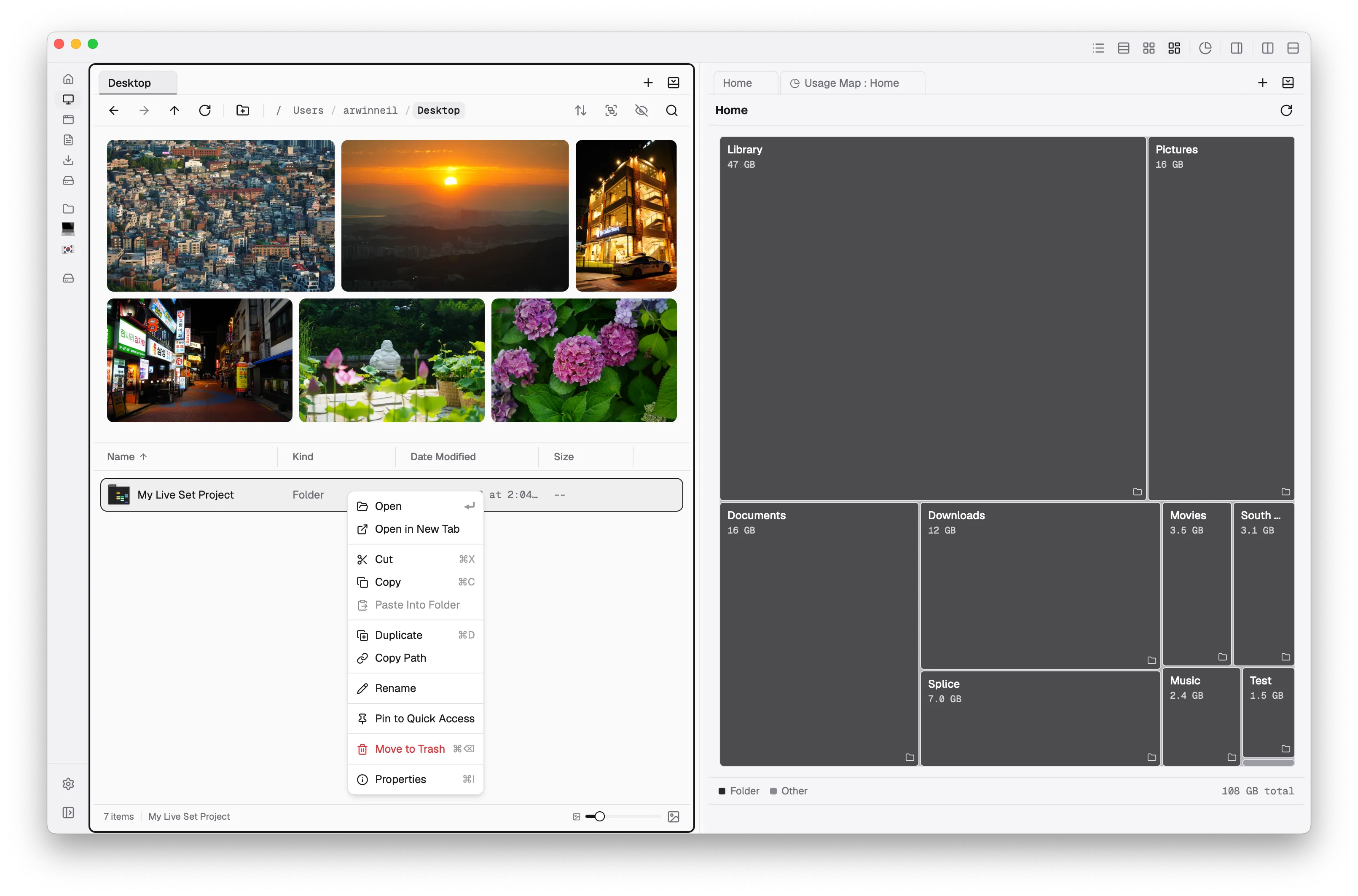 Flies showing a dual-pane view: file browser on the left, Usage Map disk treemap on the right